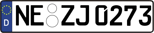NE-ZJ0273
