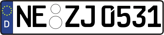 NE-ZJ0531