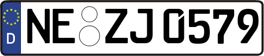 NE-ZJ0579