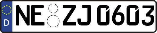 NE-ZJ0603