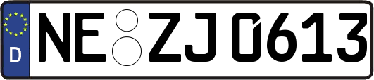 NE-ZJ0613