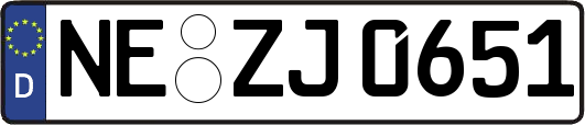 NE-ZJ0651