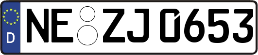 NE-ZJ0653