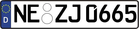 NE-ZJ0665