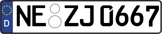 NE-ZJ0667
