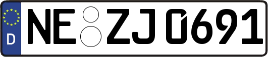 NE-ZJ0691