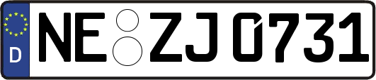 NE-ZJ0731