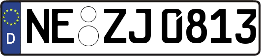 NE-ZJ0813