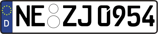 NE-ZJ0954