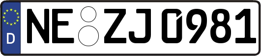 NE-ZJ0981
