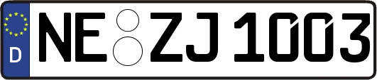 NE-ZJ1003