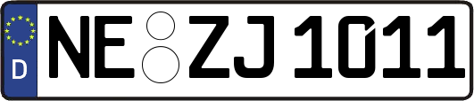 NE-ZJ1011
