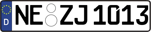NE-ZJ1013