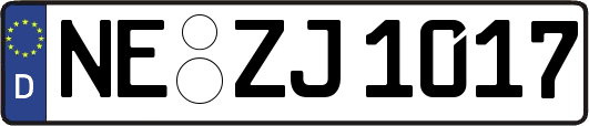 NE-ZJ1017