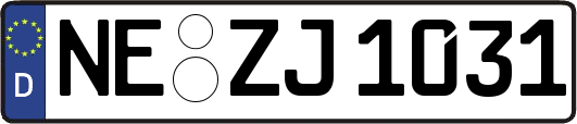 NE-ZJ1031