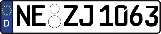 NE-ZJ1063