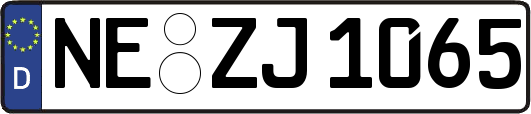 NE-ZJ1065