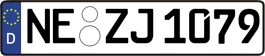 NE-ZJ1079
