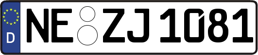 NE-ZJ1081