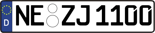 NE-ZJ1100