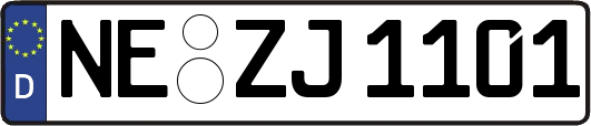 NE-ZJ1101