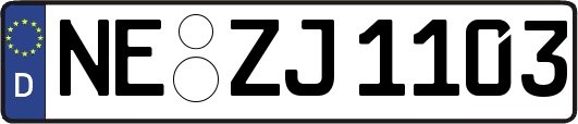 NE-ZJ1103