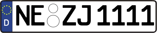 NE-ZJ1111