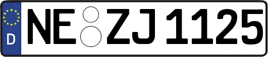 NE-ZJ1125