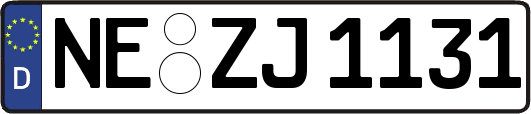NE-ZJ1131