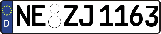 NE-ZJ1163