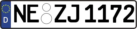 NE-ZJ1172