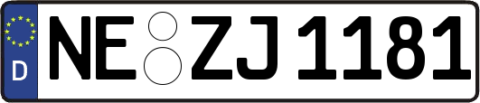 NE-ZJ1181
