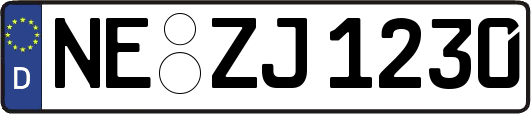 NE-ZJ1230