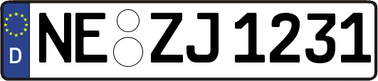 NE-ZJ1231