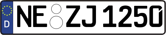 NE-ZJ1250