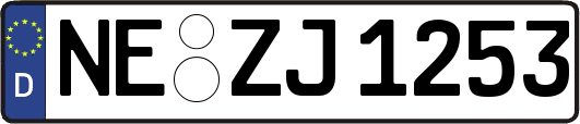 NE-ZJ1253