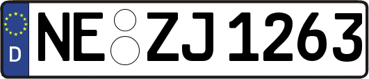 NE-ZJ1263