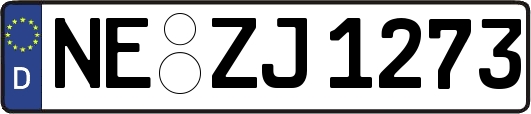 NE-ZJ1273