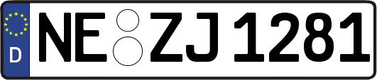 NE-ZJ1281