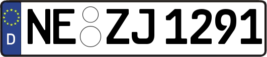NE-ZJ1291