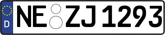 NE-ZJ1293