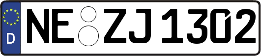 NE-ZJ1302