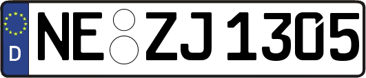NE-ZJ1305