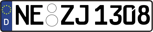 NE-ZJ1308