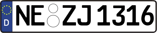 NE-ZJ1316