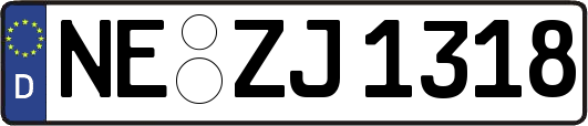 NE-ZJ1318
