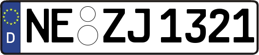 NE-ZJ1321