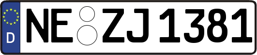 NE-ZJ1381