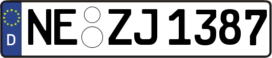 NE-ZJ1387