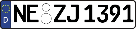 NE-ZJ1391